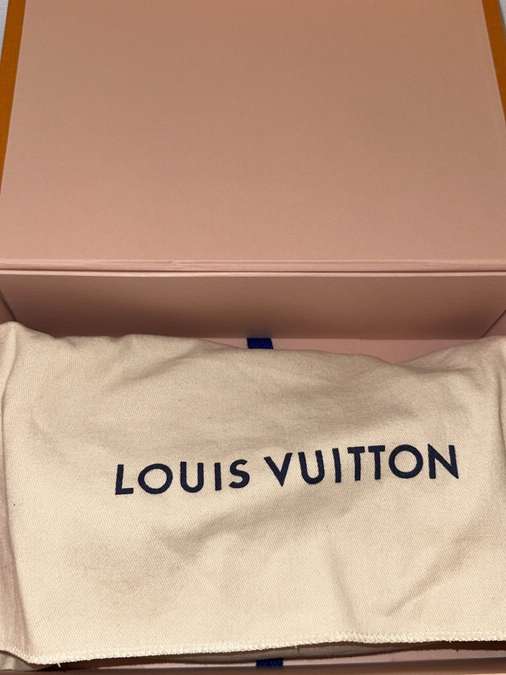 Louis Vuitton Ivy Wallet On Chain Trianon Gray M12778 - Picture 13 of 16
